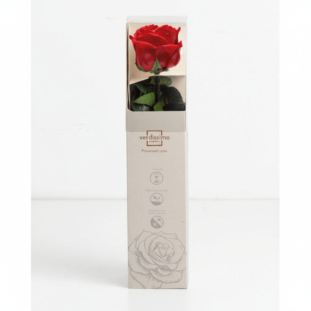 Rosa Stabilizzata Vera Rossa 27 cm