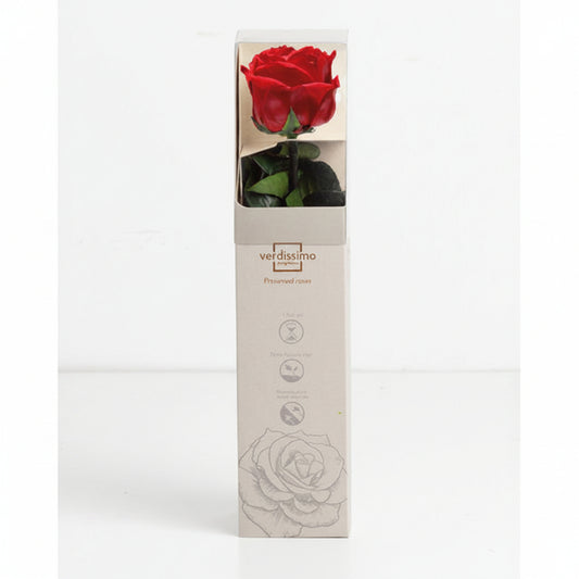 Rosa Stabilizzata Vera Rossa 27 cm