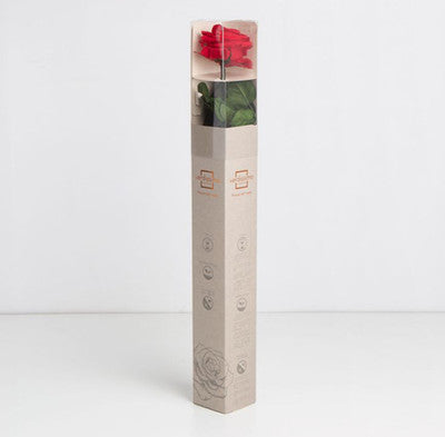 Rosa Stabilizzata GRANDE Vera Rossa 56 cm