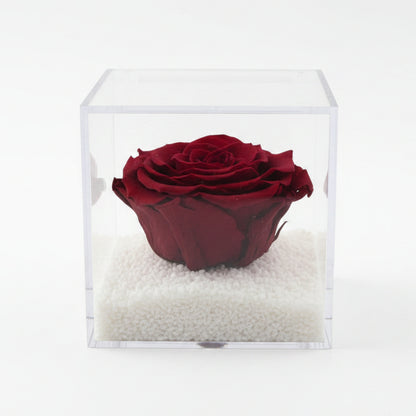 Flowercube Rosa Rossa Stabilizzata