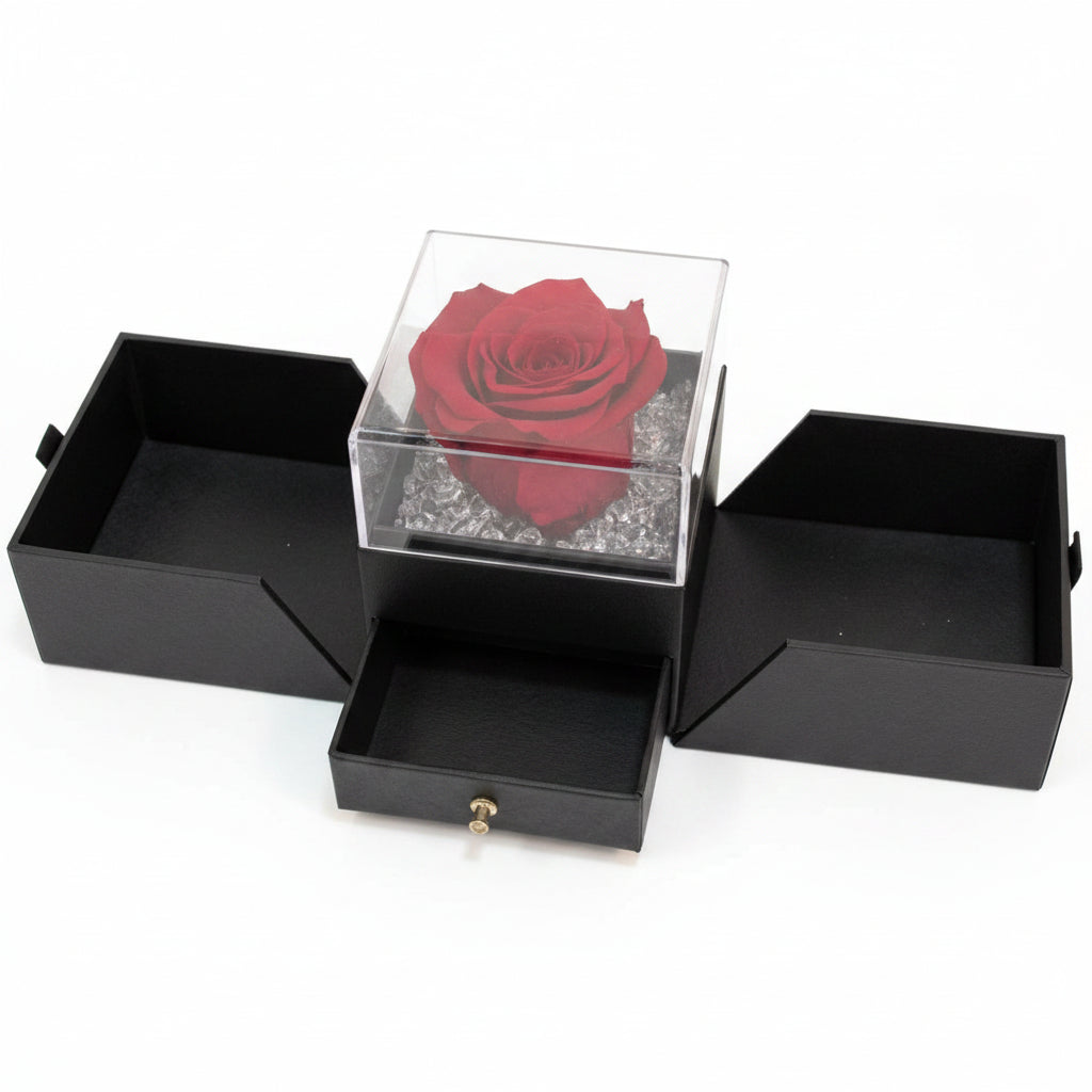 Box regalo Luxury nera con Rosa Rossa stabilizzata