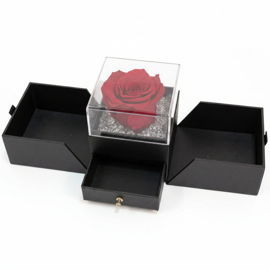 Box regalo Luxury nera con Rosa Rossa stabilizzata