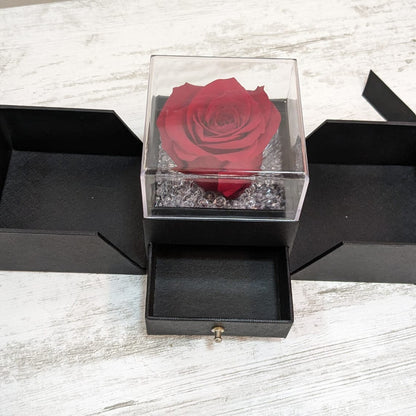 Rosa Stabilizzata Vera Rossa in Box