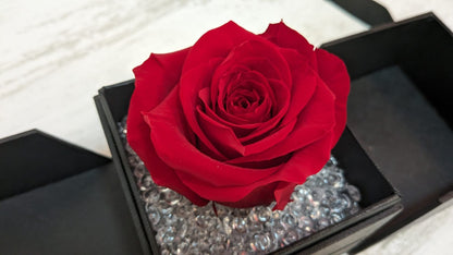 Box regalo Luxury nera con Rosa Rossa stabilizzata