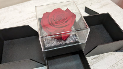Box regalo Luxury nera con Rosa Rossa stabilizzata