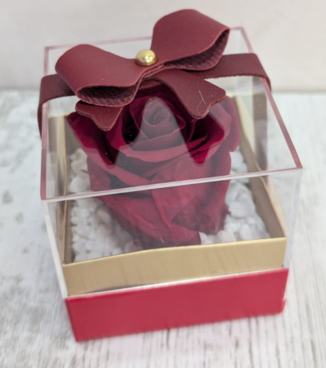 Rosa Stabilizzata in Scatola con Fiocco Rosso