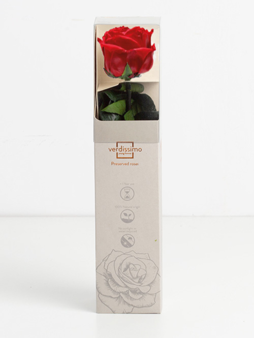 Rosa Stabilizzata Vera Rossa 27 cm