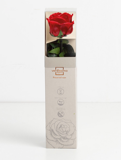 Rosa Stabilizzata Vera Rossa 27 cm