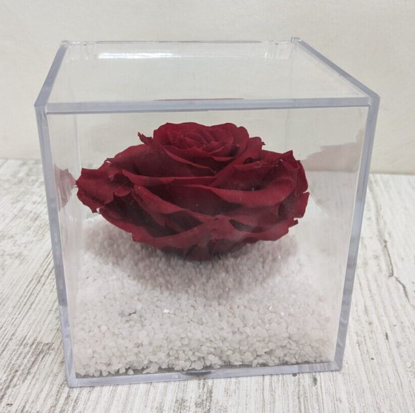 Flowercube Rosa Rossa Stabilizzata