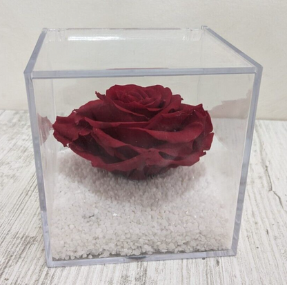 Flowercube Rosa Rossa Stabilizzata