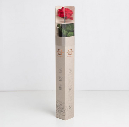 Rosa Stabilizzata Vera Rossa 53 cm