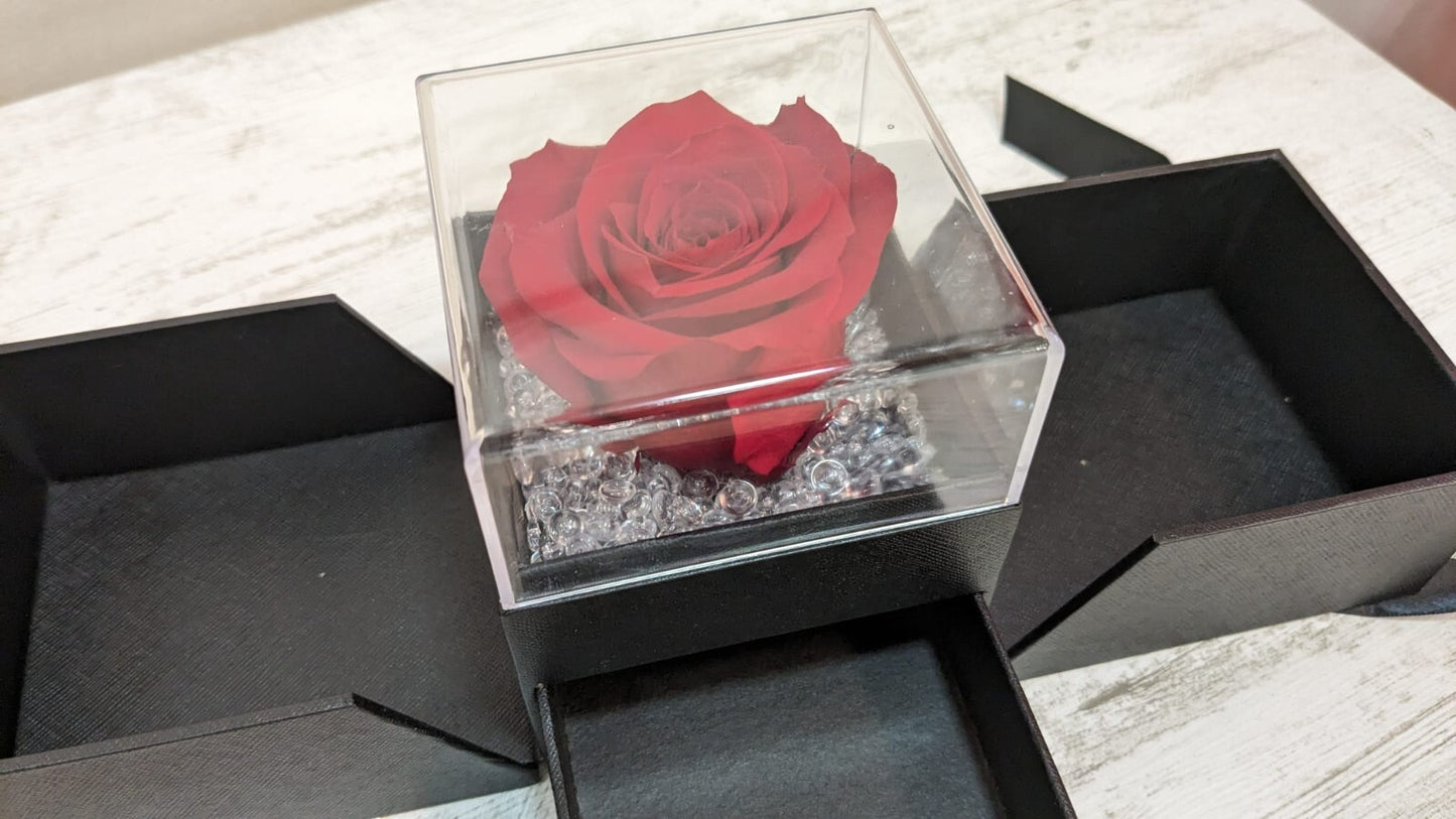 Rosa Stabilizzata Vera Rossa in Box