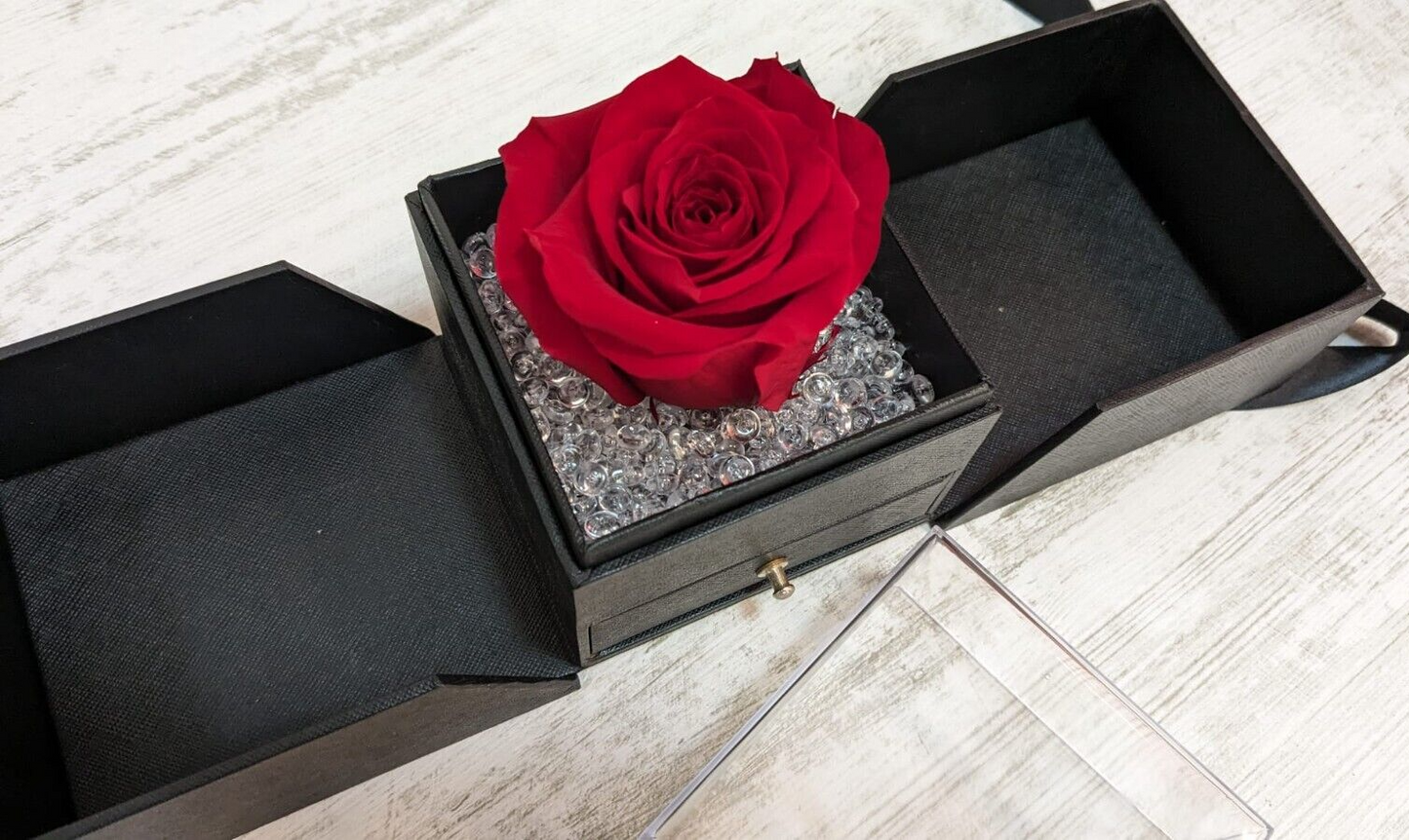 Rosa Stabilizzata Vera Rossa in Box