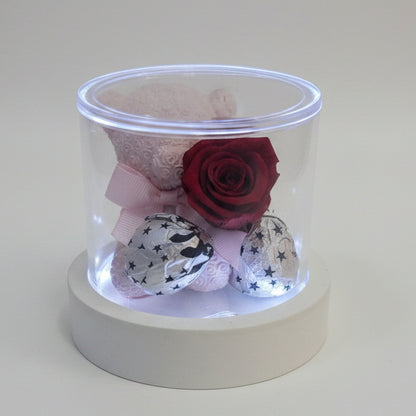Cofanetto cilindico in acrilico trasparente su base luminosa bianca contenente un orsetto rosa, una rosa stabilizzata rossa e cioccolatini incartati su sfondo bianco